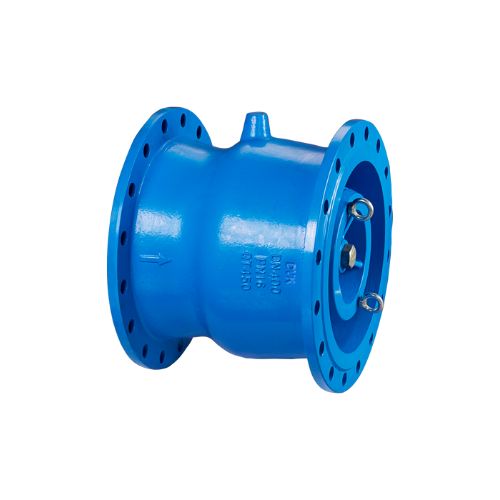 Nozzle Type Check Valve